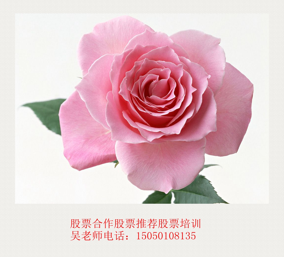 股票合作投资咨询股票培训代理操盘炒股培训